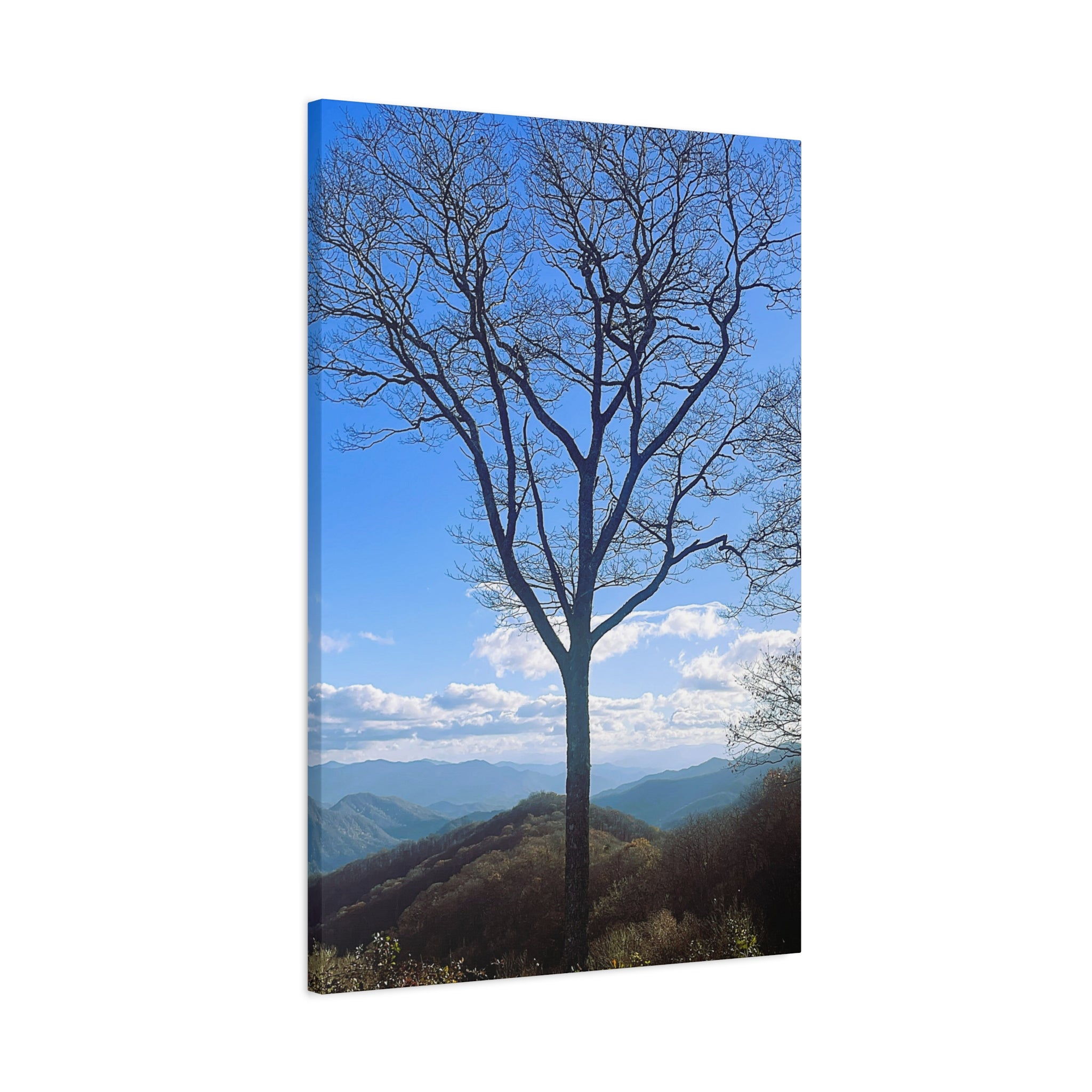 SOMETHING RESILENT | Tennessee Mountain View Bare Tree Silhouette Landscape Canvas