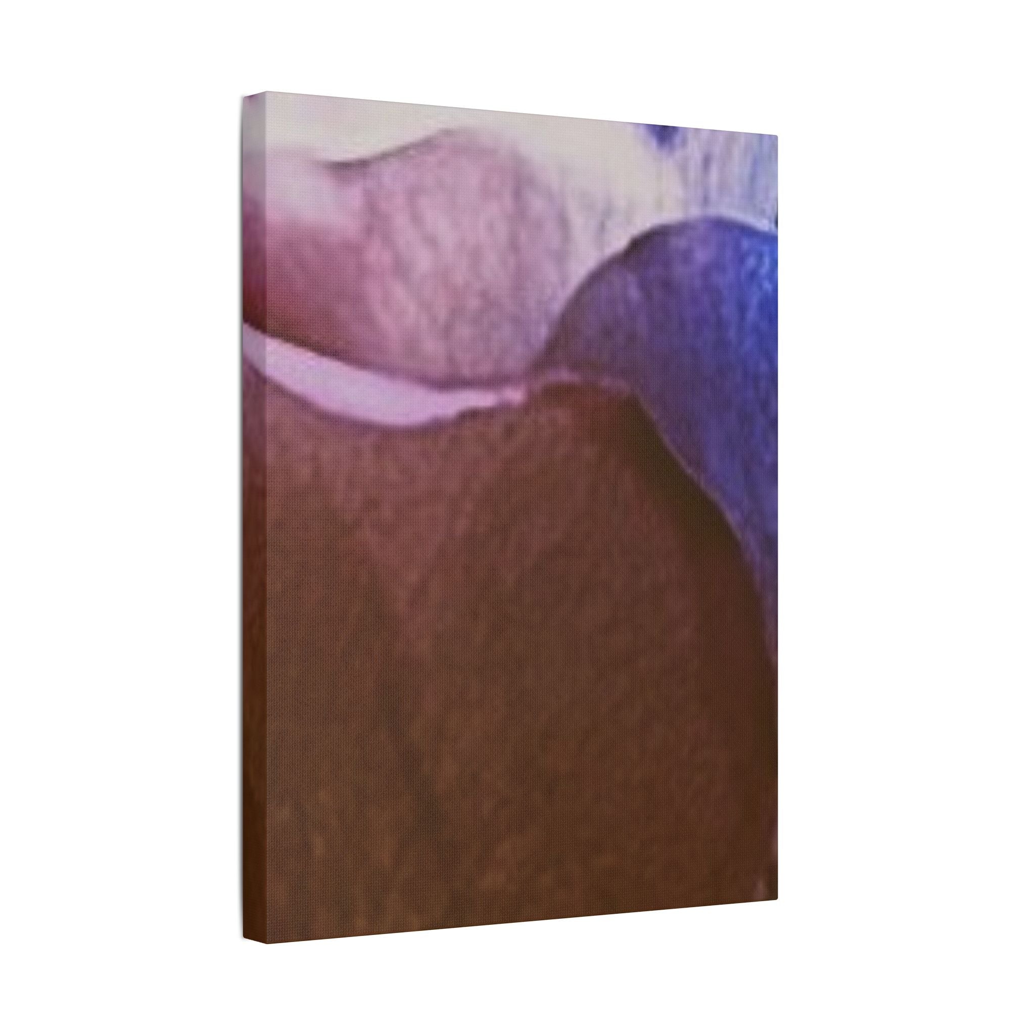 SOMETHING SPICY | Abstract Organic Shapes Satin Stretched Canvas | Brown Purple Wall Art
