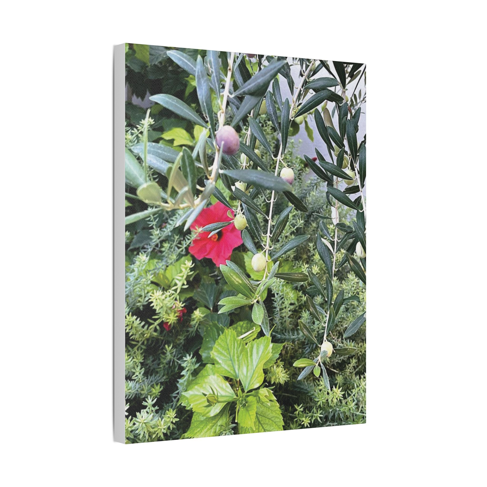 SOMETHING LUSH | Hibiscus and Red Wine Grapes Stretched Satin Canvas