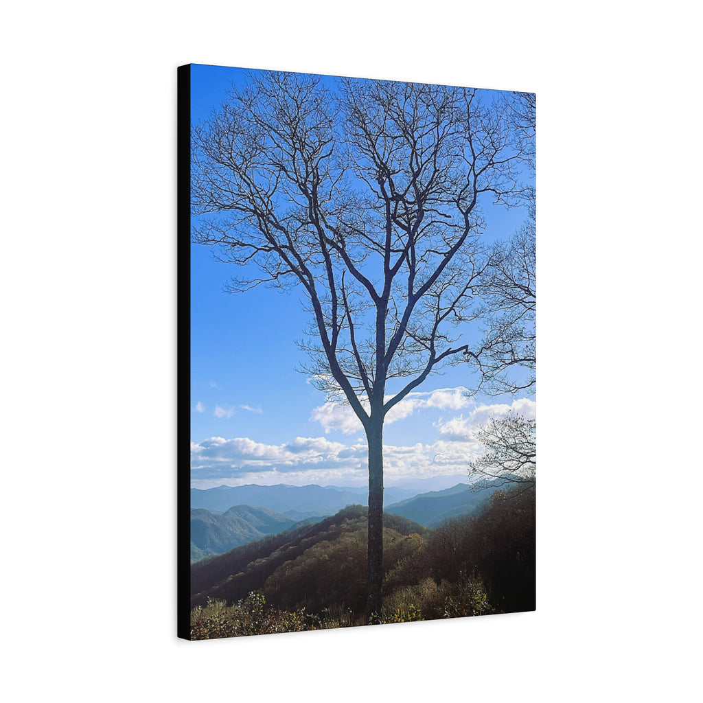 SOMETHING RESILENT | Tennessee Mountain View Bare Tree Silhouette Landscape Canvas