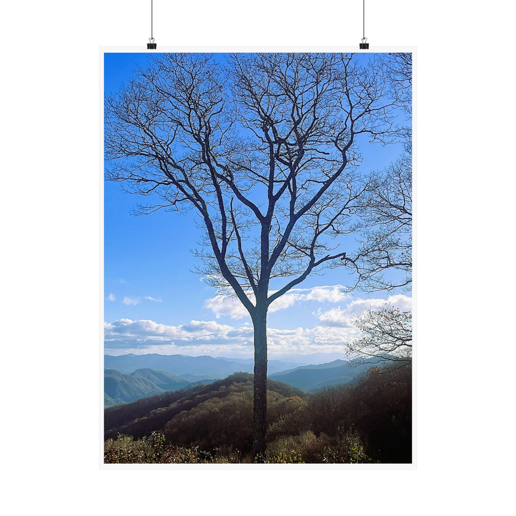 Tennessee Mountain Bare Tree Silhouette Poster | Landscape Wall Art