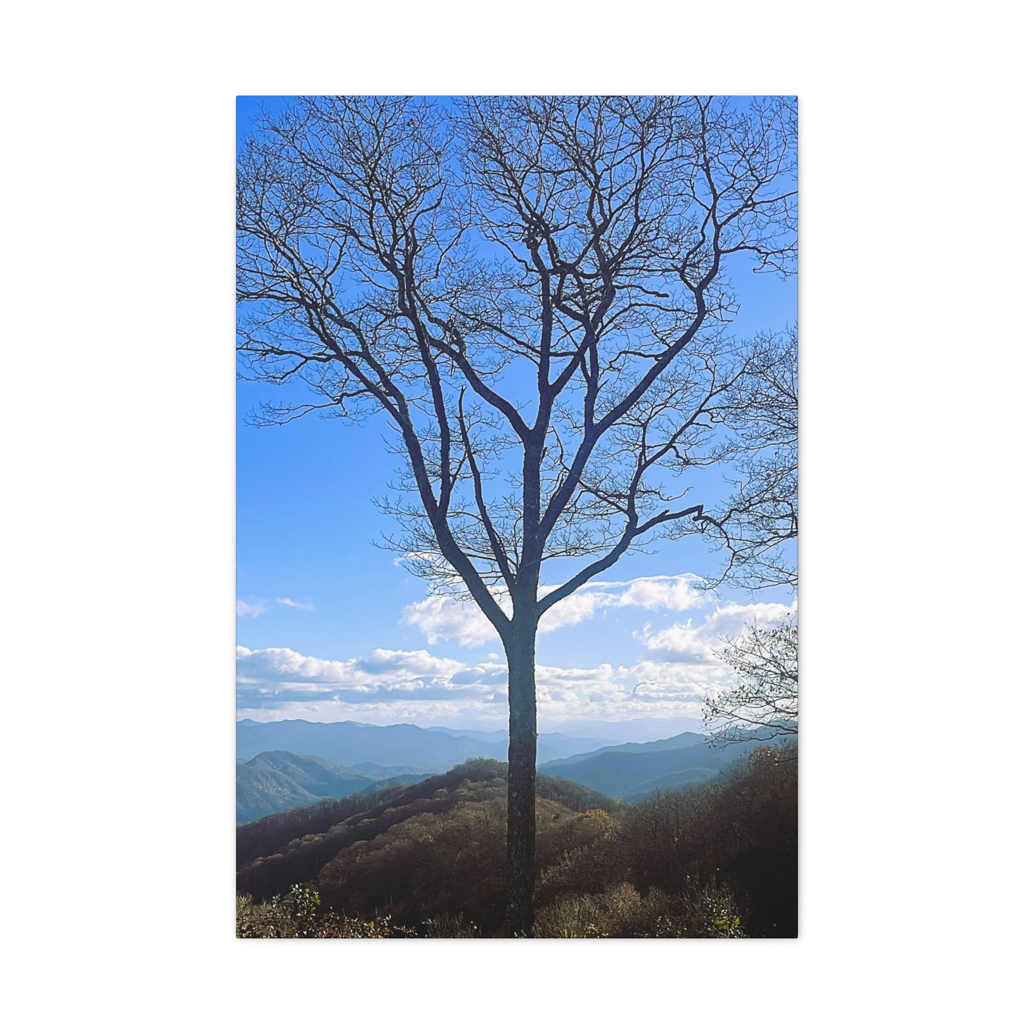 SOMETHING RESILENT | Tennessee Mountain View Bare Tree Silhouette Landscape Canvas