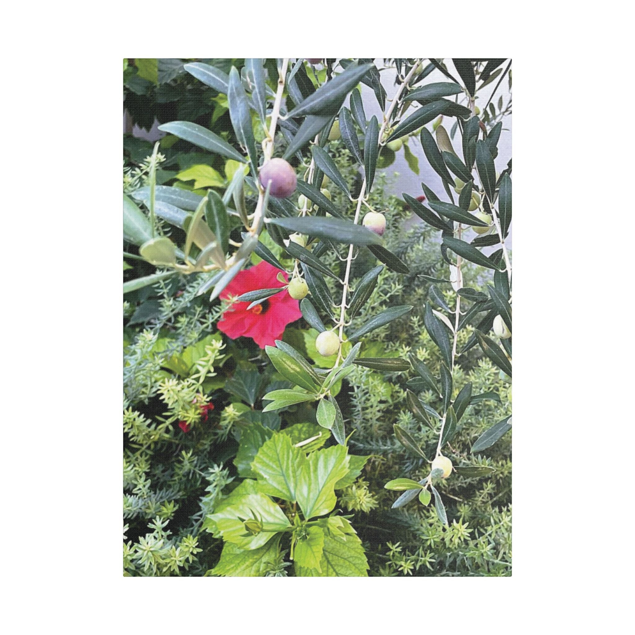 SOMETHING LUSH | Hibiscus and Red Wine Grapes Stretched Satin Canvas