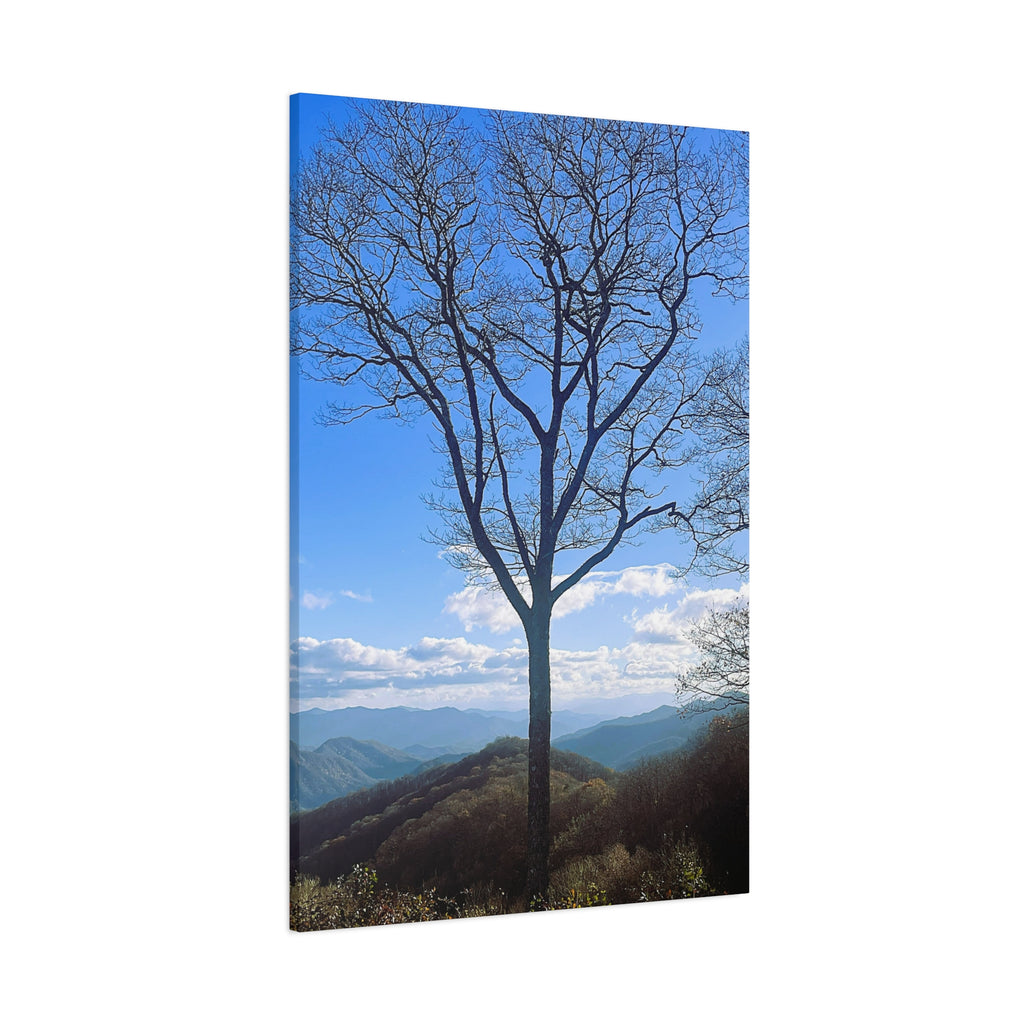 SOMETHING RESILENT | Tennessee Mountain View Bare Tree Silhouette Landscape Canvas