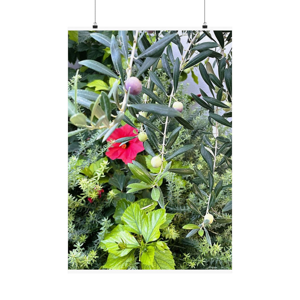 Hibiscus Botanical Art Print | Santorini Garden Satin Poster | Floral Wall Decor